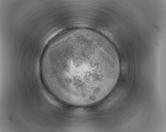 X0000113900390200910151400