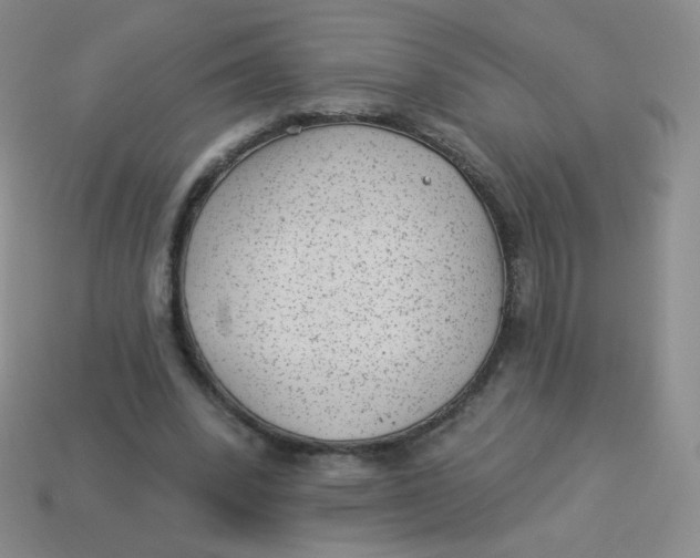 X0000113900392200910151400