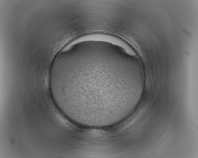 X0000113900393200910151400