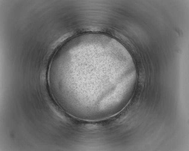 X0000113900394200910151400