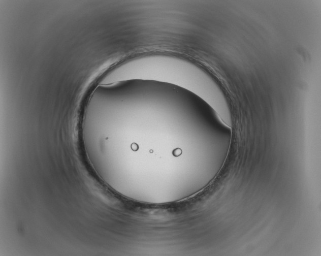 X0000113900395200910151400