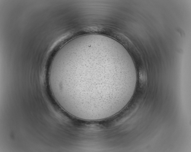 X0000113900396200910151400