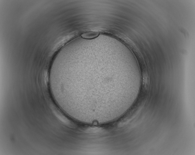 X0000113900397200910151400