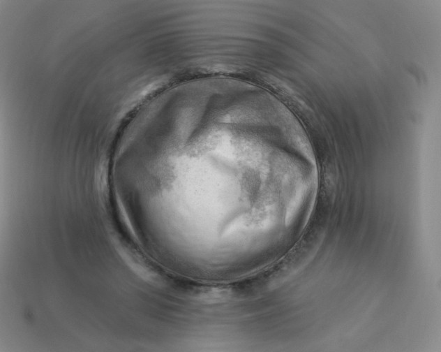 X0000113900398200910151400