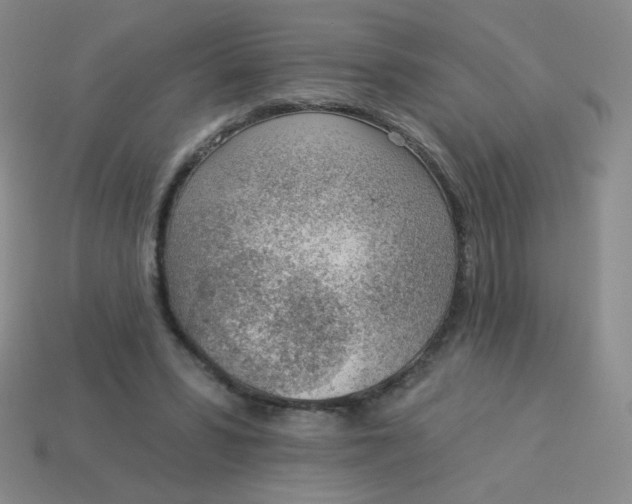 X0000113900399200910151400