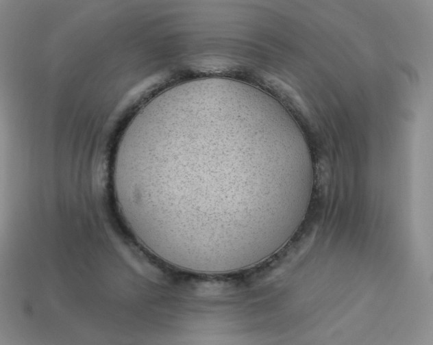 X0000113900400200910151400