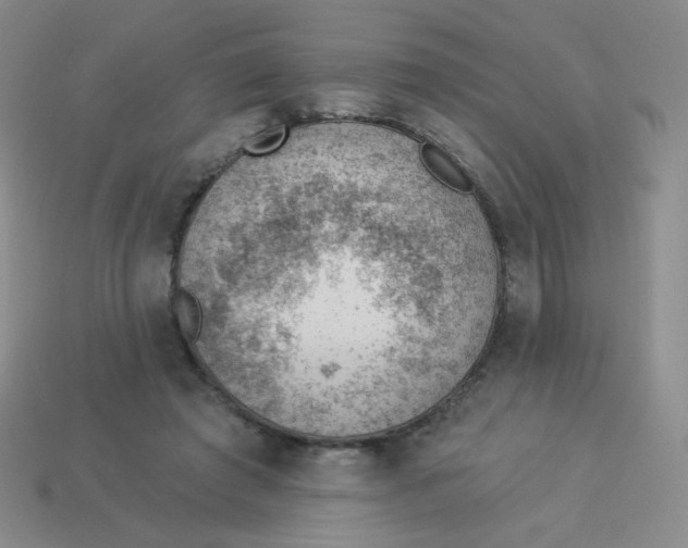 X0000113900401200910151400