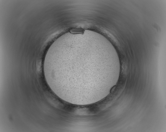 X0000113900403200910151400