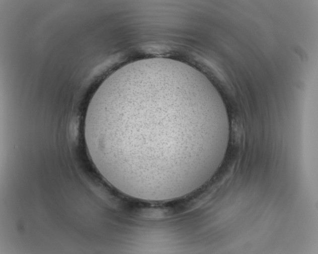 X0000113900404200910151400