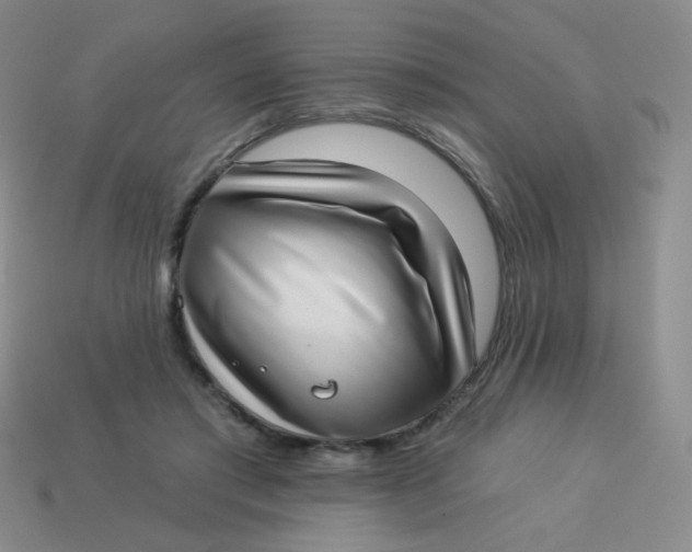 X0000113900405200910151400