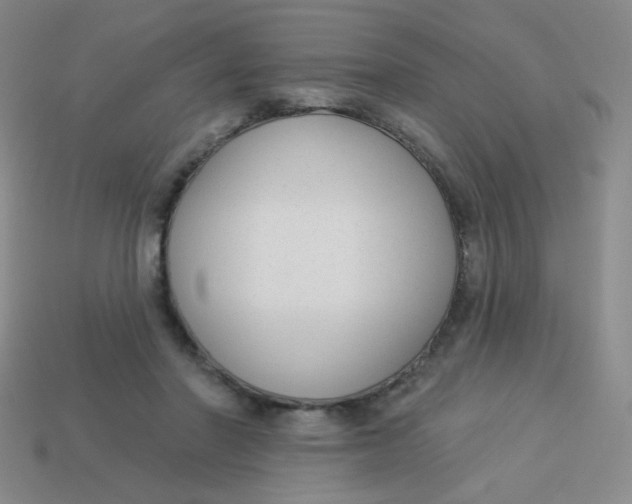 X0000113900406200910151400