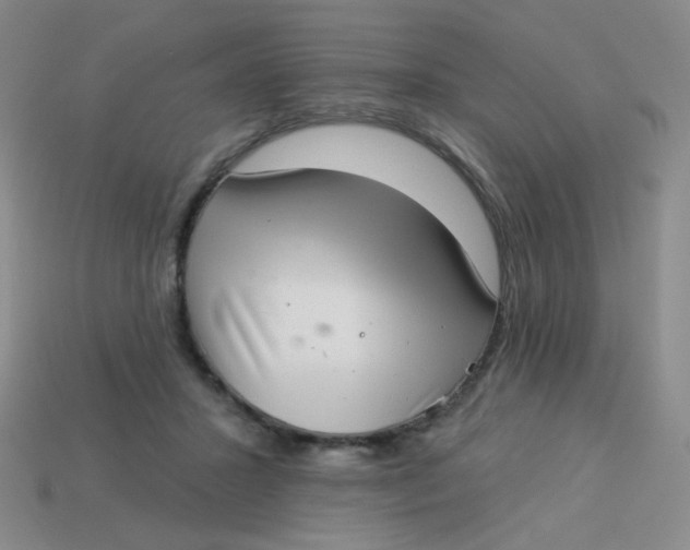 X0000113900407200910151400