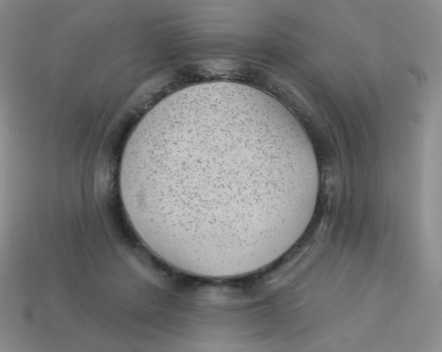 X0000113900408200910151400