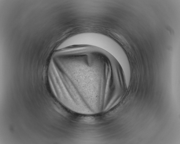 X0000113900409200910151400