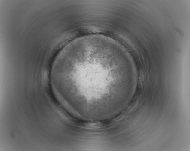 X0000113900410200910151400