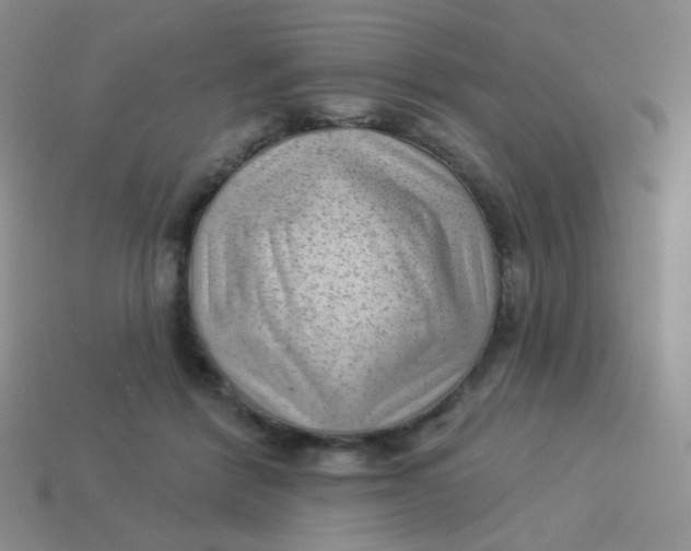 X0000113900412200910151400