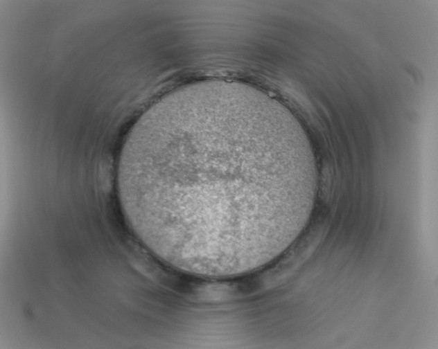 X0000113900413200910151400