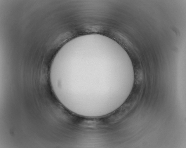 X0000113900414200910151400