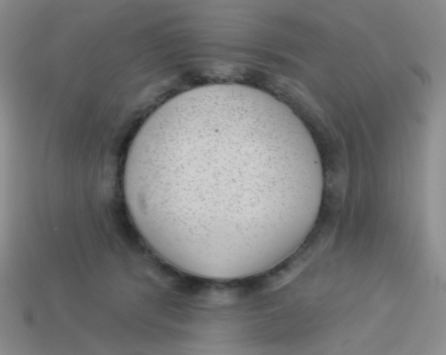 X0000113900416200910151400