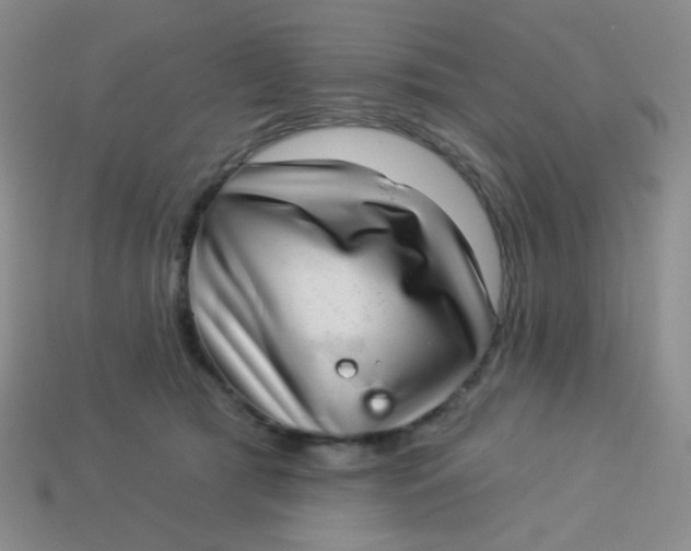 X0000113900417200910151400