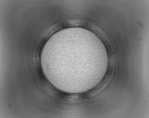 X0000113900418200910151400