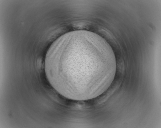 X0000113900420200910151400