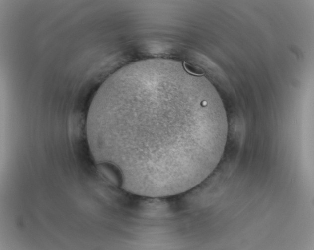 X0000113900421200910151400