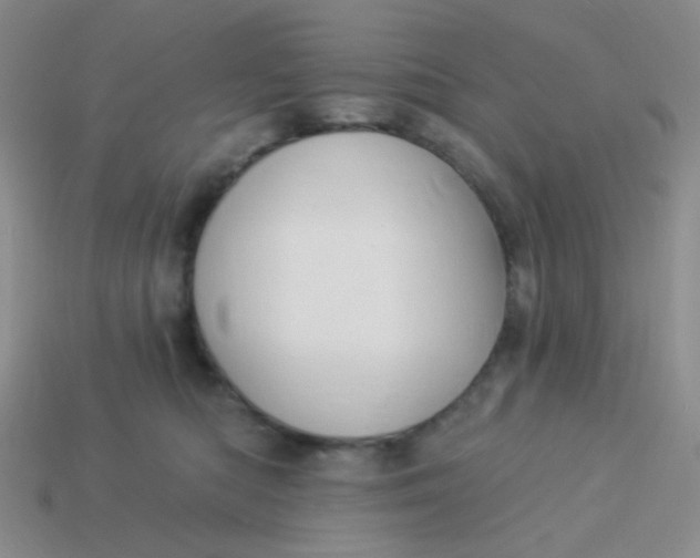 X0000113900422200910151400