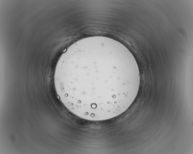 X0000113900423200910151400