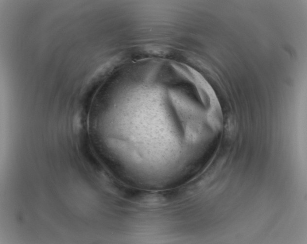 X0000113900424200910151400