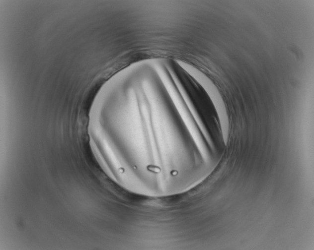 X0000113900425200910151400