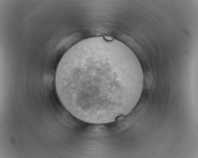 X0000113900427200910151400