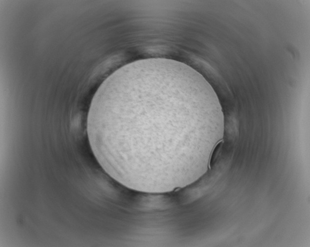 X0000113900428200910151400