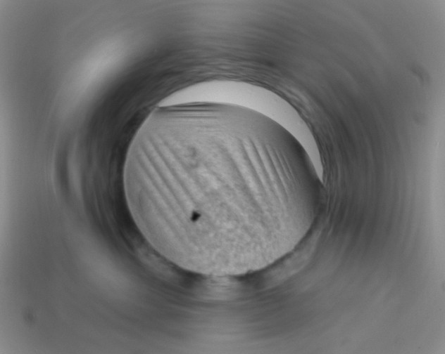 X0000113900429200910151400