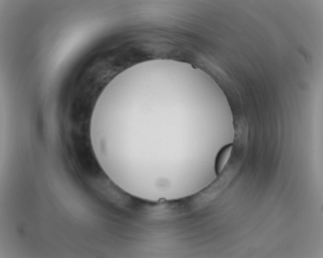 X0000113900430200910151400