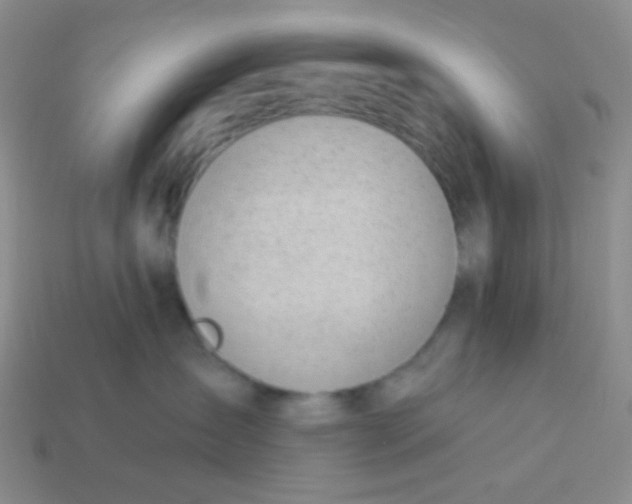 X0000113900431200910151400