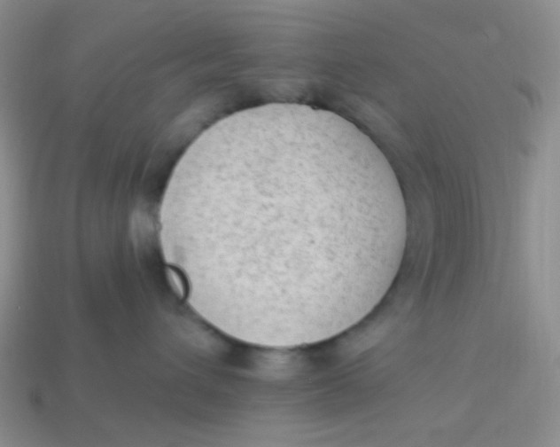 X0000113900432200910151400