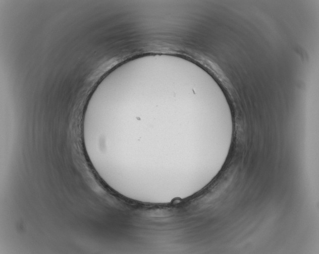 X0000113900433200910151359