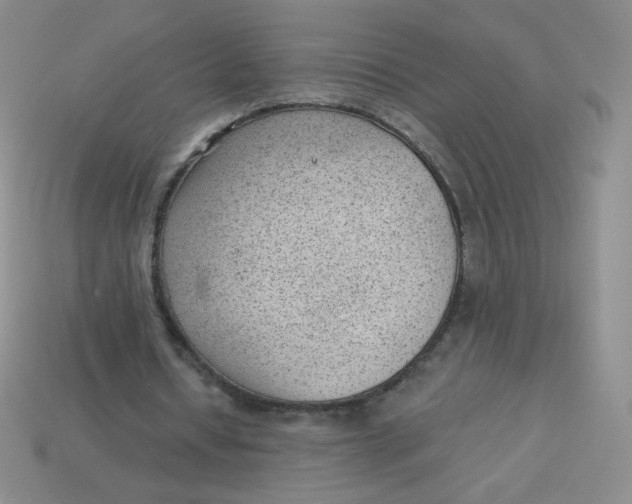 X0000113900434200910151359