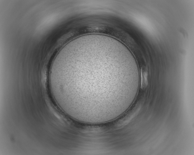 X0000113900435200910151359