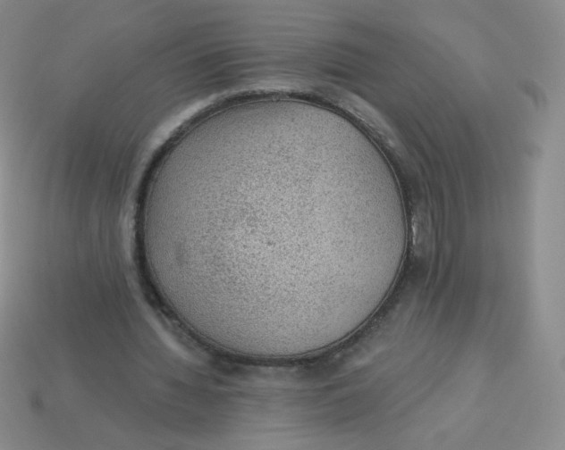 X0000113900436200910151359