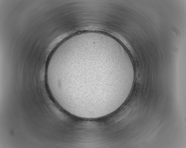 X0000113900437200910151359