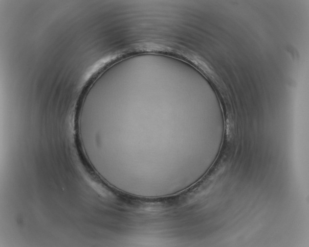 X0000113900438200910151359