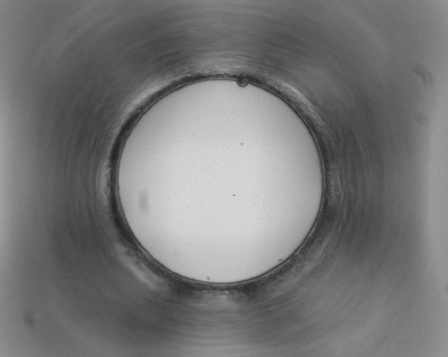 X0000113900439200910151359