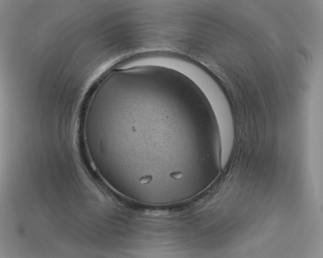 X0000113900440200910151359