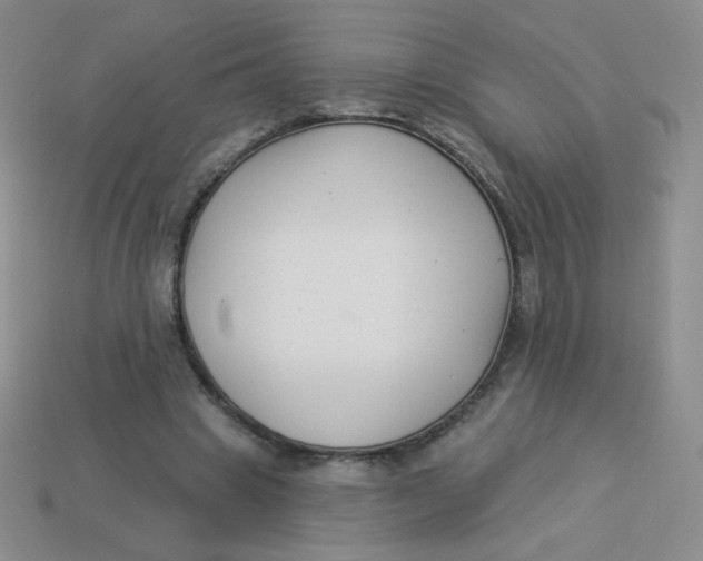 X0000113900441200910151359