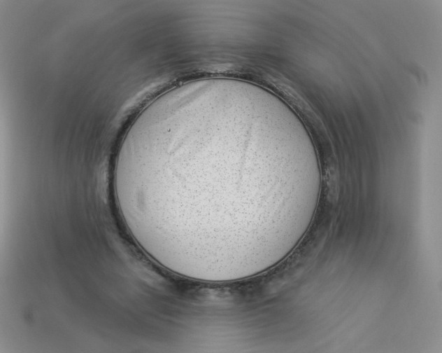 X0000113900442200910151359