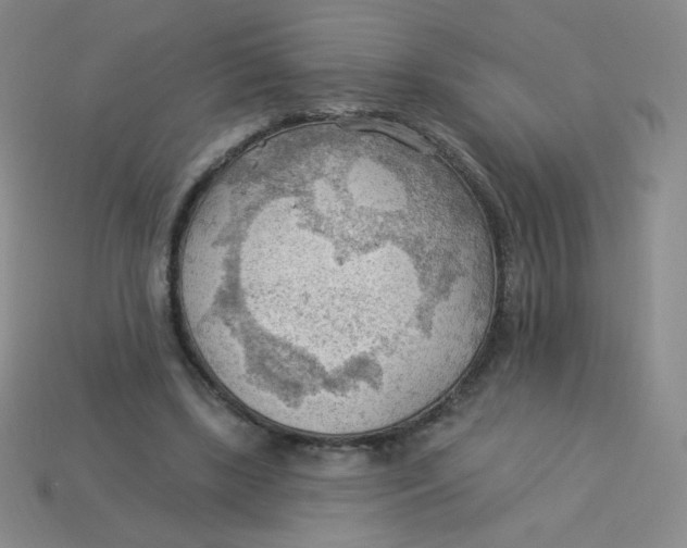 X0000113900443200910151359