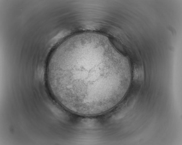 X0000113900444200910151359