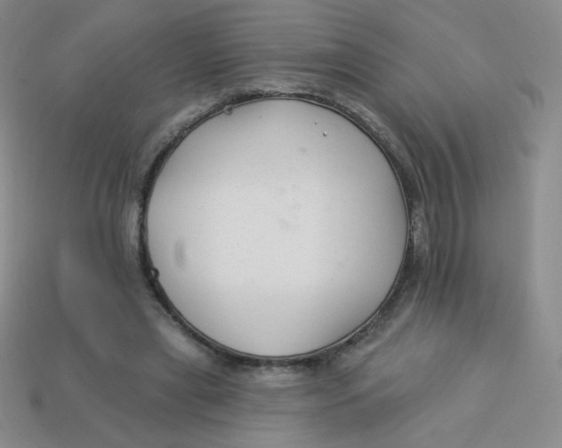 X0000113900445200910151359